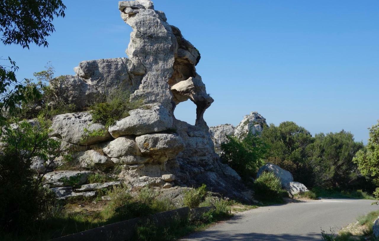 Les Lavandins-Gite Magali Saint-Rémy-de-Provence Exterior foto